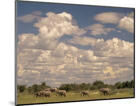 Herd of Elephants, Etosha National Park, Namibia-Walter Bibikow-Mounted Photographic Print