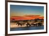 Herd of Elephants in African Savanna at Sunset-Dmitry Pichugin-Framed Photographic Print