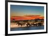 Herd of Elephants in African Savanna at Sunset-Dmitry Pichugin-Framed Photographic Print