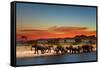 Herd of Elephants in African Savanna at Sunset-Dmitry Pichugin-Framed Stretched Canvas