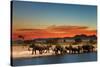 Herd of Elephants in African Savanna at Sunset-Dmitry Pichugin-Stretched Canvas