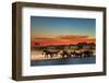 Herd of Elephants in African Savanna at Sunset-Dmitry Pichugin-Framed Photographic Print