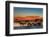 Herd of Elephants in African Savanna at Sunset-Dmitry Pichugin-Framed Photographic Print