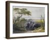 Herd of Elephants in Chad, September 25, 1851-Heinrich Barth-Framed Giclee Print