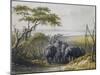 Herd of Elephants in Chad, September 25, 1851-Heinrich Barth-Mounted Giclee Print