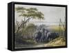 Herd of Elephants in Chad, September 25, 1851-Heinrich Barth-Framed Stretched Canvas