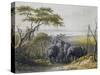 Herd of Elephants in Chad, September 25, 1851-Heinrich Barth-Stretched Canvas