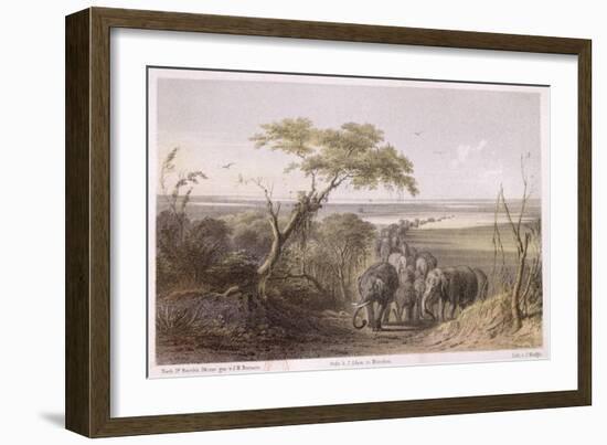 Herd of Elephants on the Border of Chad, Travels and Discoveries in North and Central Africa-Johann Martin Bernatz-Framed Giclee Print