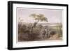 Herd of Elephants on the Border of Chad, Travels and Discoveries in North and Central Africa-Johann Martin Bernatz-Framed Giclee Print