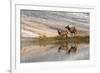 Herd of Elk and reflection, Canary Spring, Yellowstone National Park, Montana, Wyoming-Adam Jones-Framed Premium Photographic Print