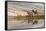 Herd of Elk and reflection, Canary Spring, Yellowstone National Park, Montana, Wyoming-Adam Jones-Framed Stretched Canvas