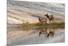 Herd of Elk and reflection, Canary Spring, Yellowstone National Park, Montana, Wyoming-Adam Jones-Mounted Photographic Print