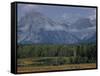 Herd of Elk Grazing in Meadow Framed by Peaks of the Grand Teton Mountains-null-Framed Stretched Canvas