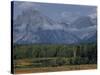 Herd of Elk Grazing in Meadow Framed by Peaks of the Grand Teton Mountains-null-Stretched Canvas