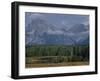 Herd of Elk Grazing in Meadow Framed by Peaks of the Grand Teton Mountains-null-Framed Photographic Print