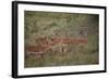 Herd of Female Impala (Aepyceros Melampus), Masai Mara National Reserve, Kenya, East Africa, Africa-Angelo Cavalli-Framed Photographic Print