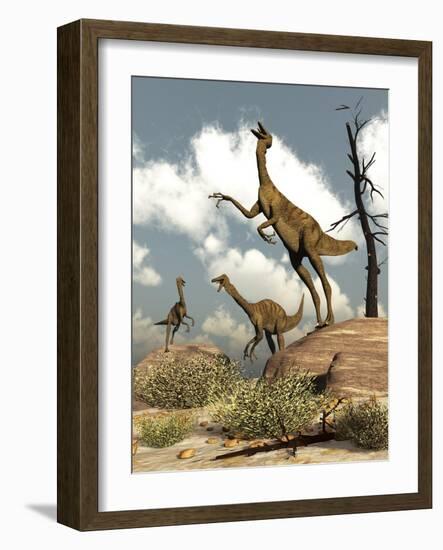 Herd of Gallimimus Dinosaurs in the Desert-Stocktrek Images-Framed Art Print