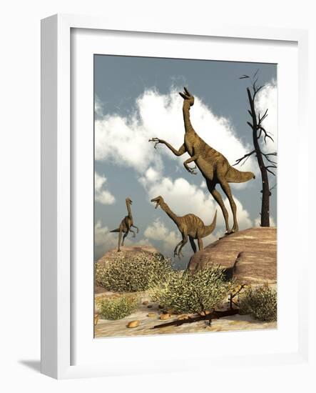 Herd of Gallimimus Dinosaurs in the Desert-Stocktrek Images-Framed Art Print