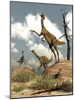 Herd of Gallimimus Dinosaurs in the Desert-Stocktrek Images-Mounted Art Print