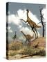 Herd of Gallimimus Dinosaurs in the Desert-Stocktrek Images-Stretched Canvas