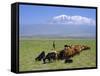 Herd of Goats and Goatherder in the Plains Beneath Mount Ararat, Turkey, Europe-Charles Bowman-Framed Stretched Canvas