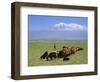 Herd of Goats and Goatherder in the Plains Beneath Mount Ararat, Turkey, Europe-Charles Bowman-Framed Photographic Print