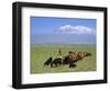 Herd of Goats and Goatherder in the Plains Beneath Mount Ararat, Turkey, Europe-Charles Bowman-Framed Photographic Print