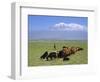 Herd of Goats and Goatherder in the Plains Beneath Mount Ararat, Turkey, Europe-Charles Bowman-Framed Photographic Print