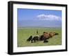 Herd of Goats and Goatherder in the Plains Beneath Mount Ararat, Turkey, Europe-Charles Bowman-Framed Photographic Print