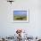 Herd of Goats and Goatherder in the Plains Beneath Mount Ararat, Turkey, Europe-Charles Bowman-Framed Photographic Print displayed on a wall