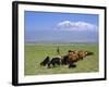 Herd of Goats and Goatherder in the Plains Beneath Mount Ararat, Turkey, Europe-Charles Bowman-Framed Photographic Print