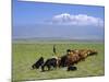 Herd of Goats and Goatherder in the Plains Beneath Mount Ararat, Turkey, Europe-Charles Bowman-Mounted Photographic Print