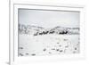 Herd of Horses (Equus Ferus Caballus), Montana, United States of America, North America-Janette Hil-Framed Photographic Print