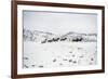 Herd of Horses (Equus Ferus Caballus), Montana, United States of America, North America-Janette Hil-Framed Photographic Print