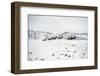 Herd of Horses (Equus Ferus Caballus), Montana, United States of America, North America-Janette Hil-Framed Photographic Print