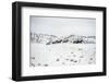 Herd of Horses (Equus Ferus Caballus), Montana, United States of America, North America-Janette Hil-Framed Photographic Print