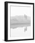 Herd of Horses in the Mist, Iceland-Nadia Isakova-Framed Photographic Print