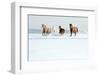 Herd of Horses in Winter-Alexia Khruscheva-Framed Photographic Print