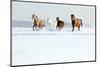 Herd of Horses in Winter-Alexia Khruscheva-Mounted Photographic Print