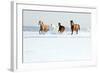 Herd of Horses in Winter-Alexia Khruscheva-Framed Photographic Print