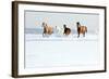 Herd of Horses in Winter-Alexia Khruscheva-Framed Photographic Print