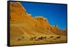 Herd of Horses Running along the Red Rock Hills of the Big Horn Mountains-Terry Eggers-Framed Stretched Canvas