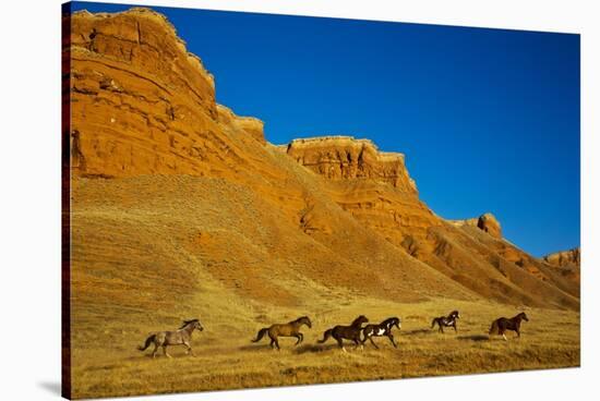 Herd of Horses Running along the Red Rock Hills of the Big Horn Mountains-Terry Eggers-Stretched Canvas