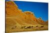 Herd of Horses Running along the Red Rock Hills of the Big Horn Mountains-Terry Eggers-Stretched Canvas