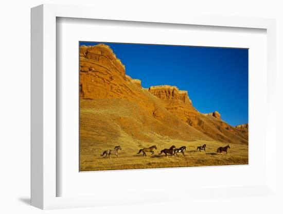 Herd of Horses Running along the Red Rock Hills of the Big Horn Mountains-Terry Eggers-Framed Photographic Print