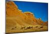 Herd of Horses Running along the Red Rock Hills of the Big Horn Mountains-Terry Eggers-Mounted Photographic Print