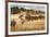 Herd of Horses Running on Dry Grassland and Brush-Sheila Haddad-Framed Photographic Print