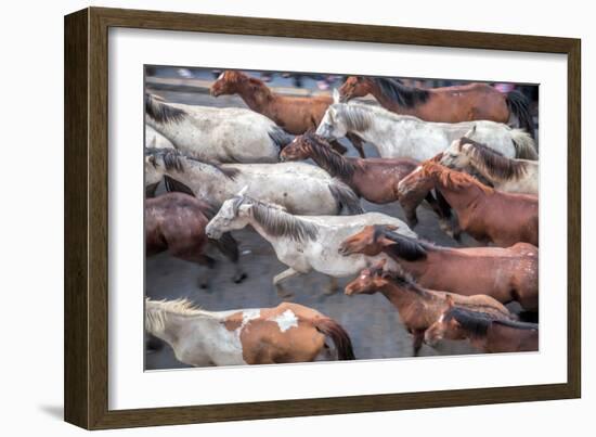 Herd of Horses, -Saca De Las Yeguas- Festival-Felipe Rodriguez-Framed Photographic Print