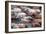 Herd of Horses, -Saca De Las Yeguas- Festival-Felipe Rodriguez-Framed Photographic Print