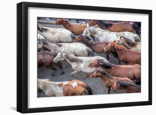 Herd of Horses, -Saca De Las Yeguas- Festival-Felipe Rodriguez-Framed Photographic Print